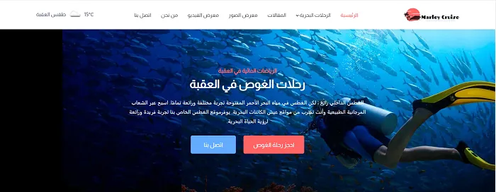واجهة موقع مارلي كروز